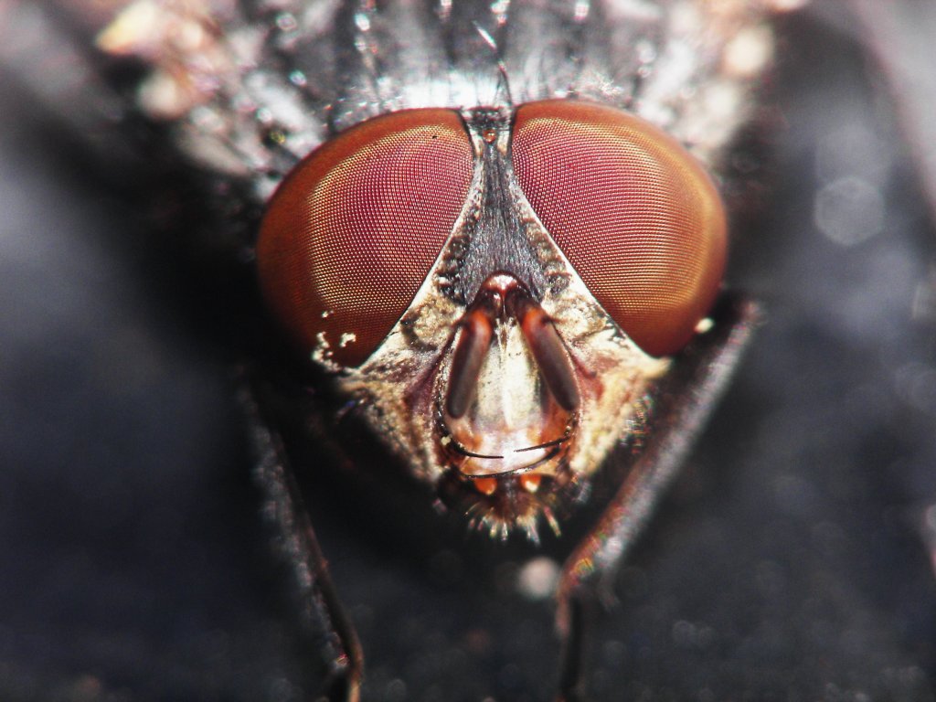 ...stavolta ho esagerato...