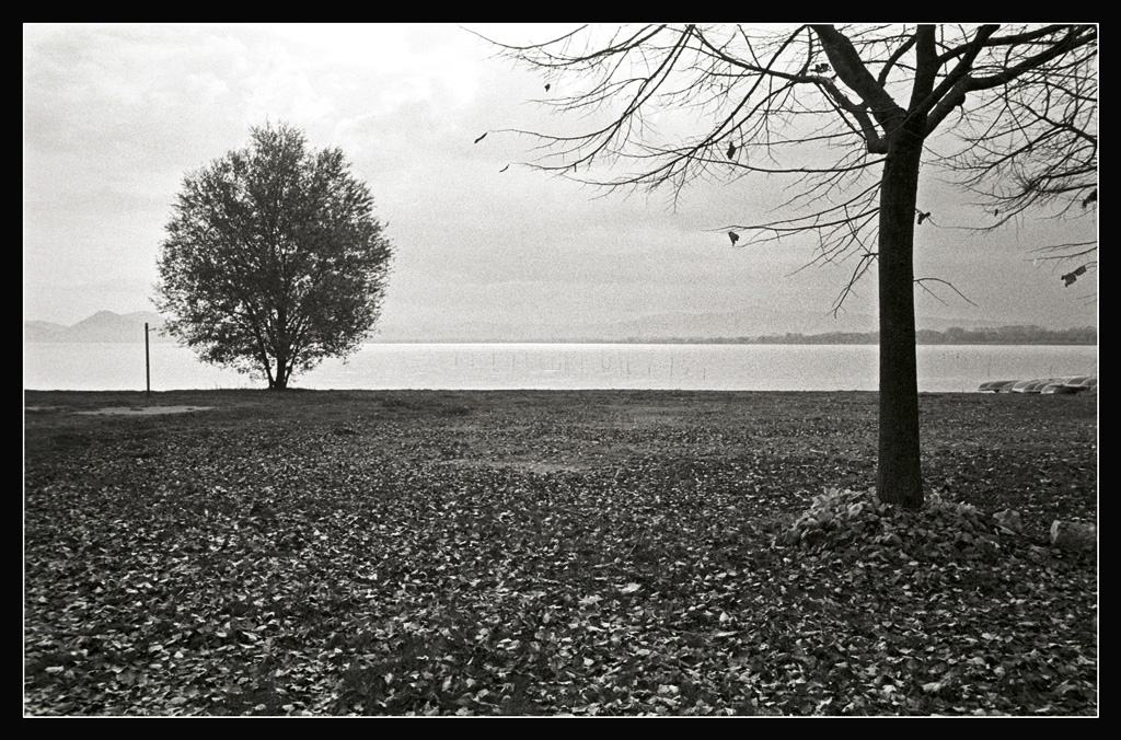 (file: trasimeno_2006_11_25-21-C2)