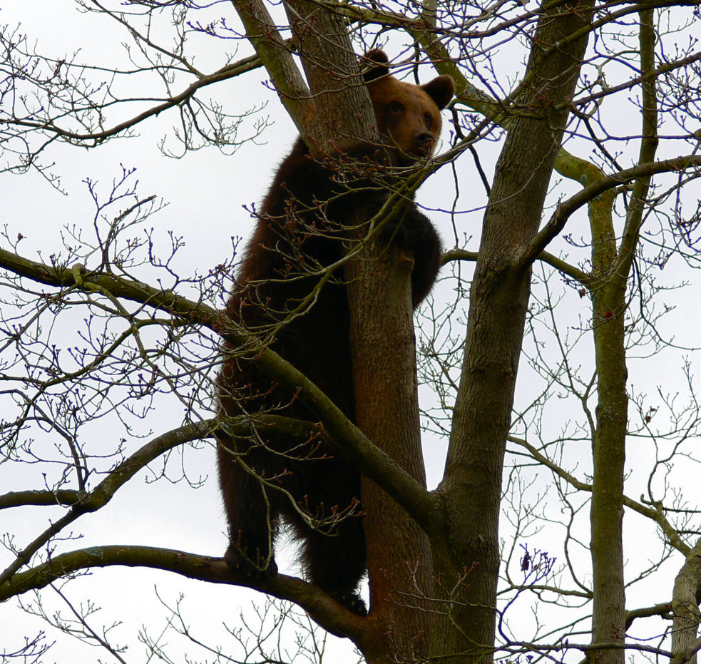 da qui si vede meglio...