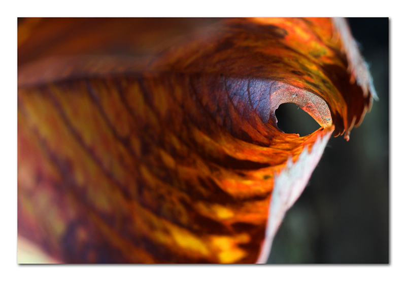 Il tunnel dell'amore