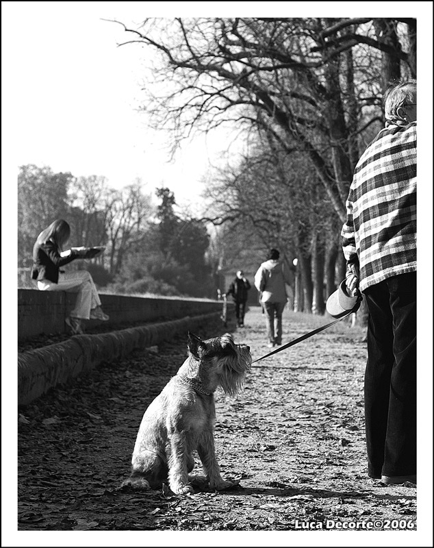 Chi viene, chi va, chi legge e chi resta qua