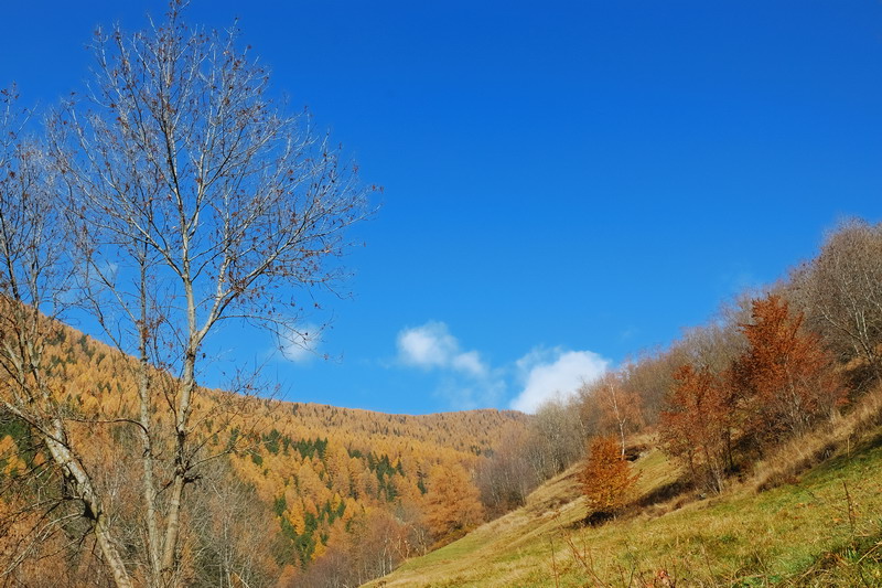 Paesaggio autunnale