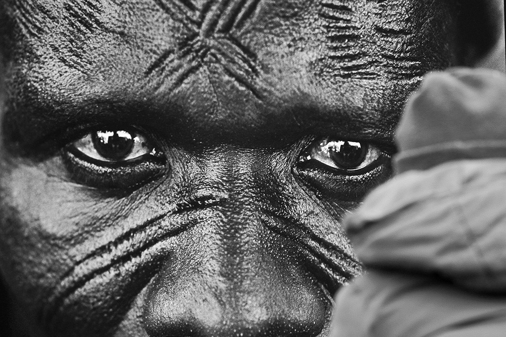 "I segni del corpo" 2 Torino, piazza San Carlo