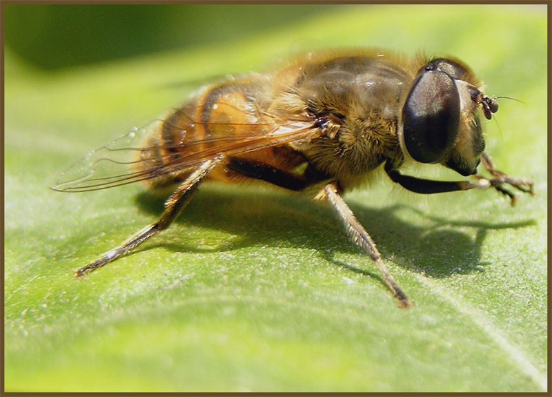 Meno male che � uscito il sole ...