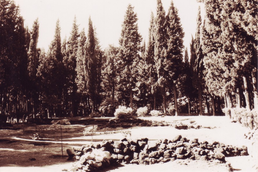 Resti etruschi in citt�!!!