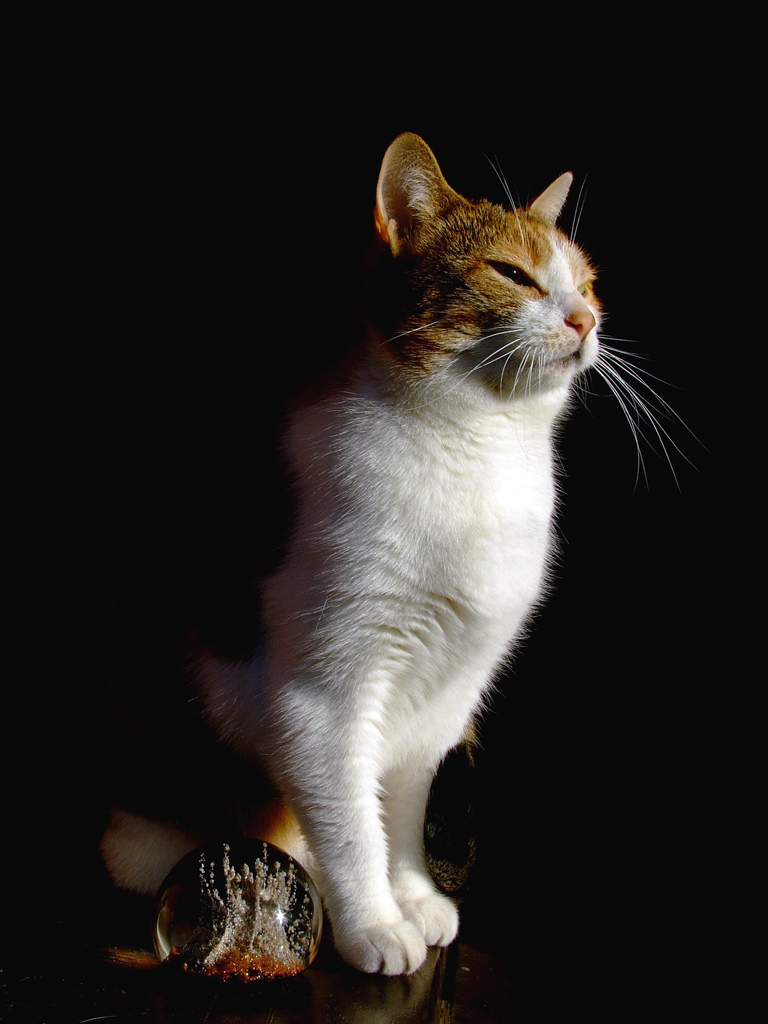 La guardiana di luce!