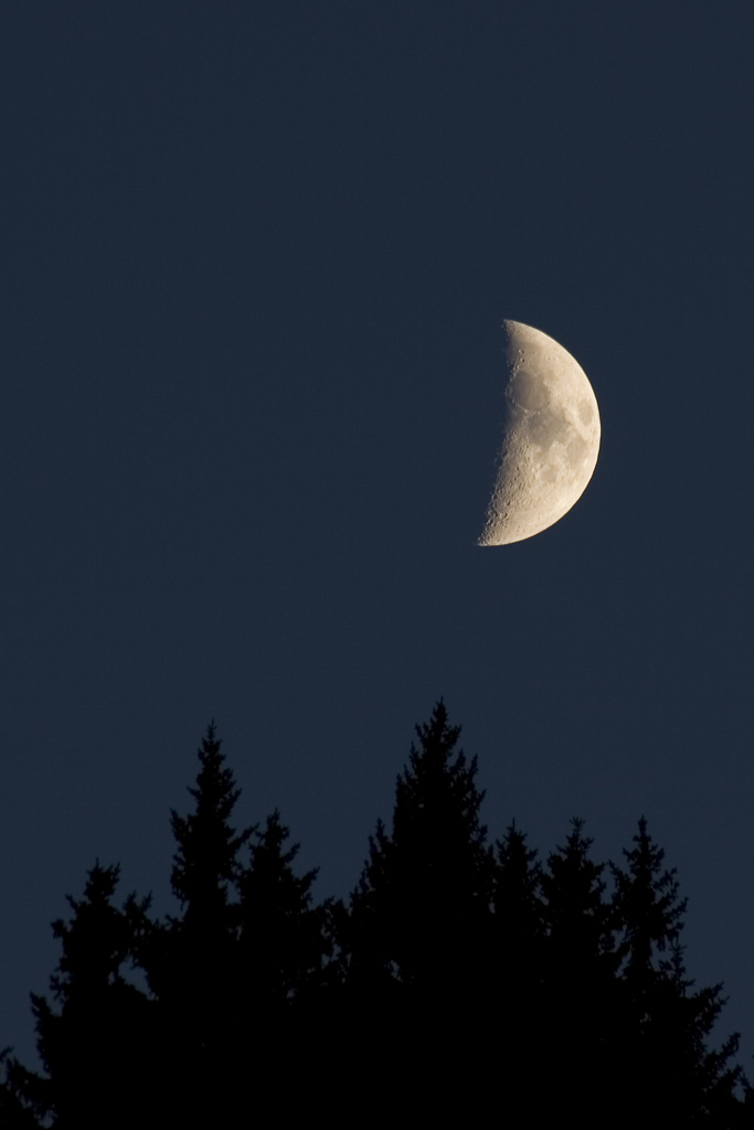 spunta la luna dal monte