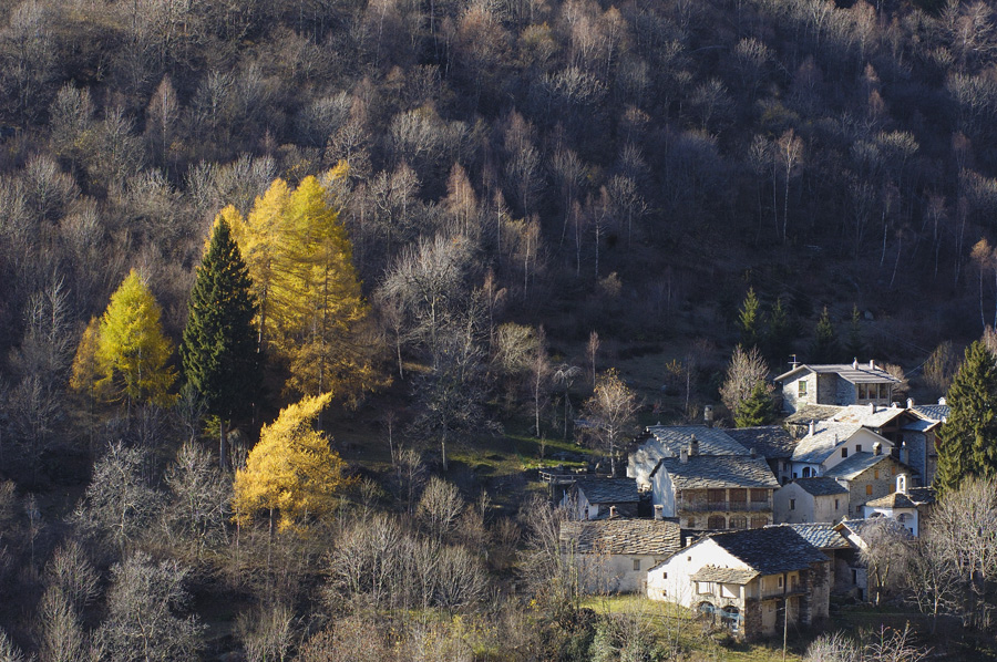 ultimi colori autunnali