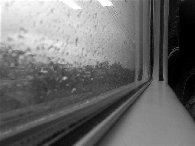 Durante Il Viaggio...