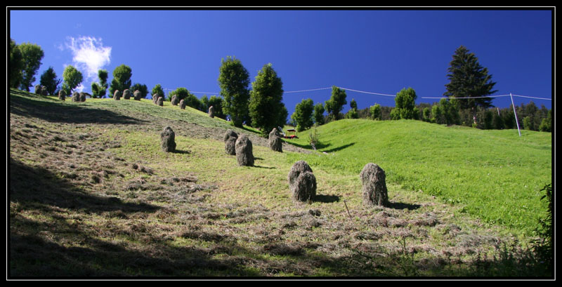 fieno in val pusteria