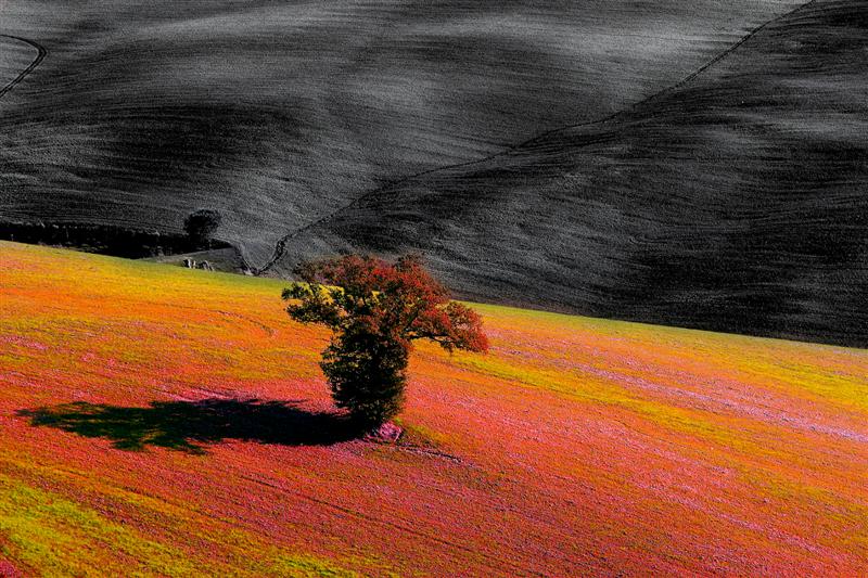 paesaggio fantastico 2