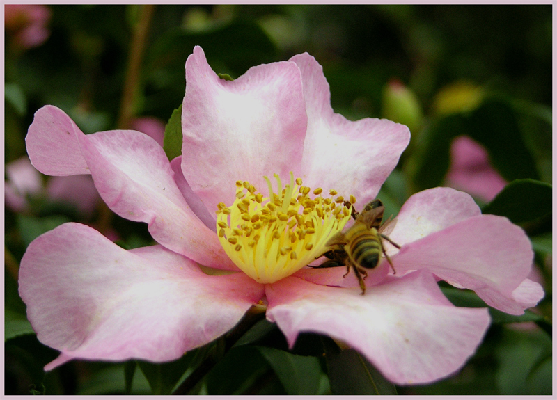 Fatti pi� in l� ...