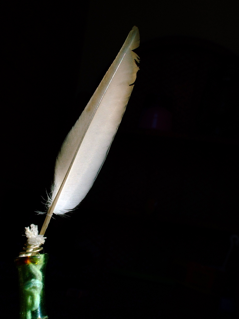 Lettere da un naufragio...