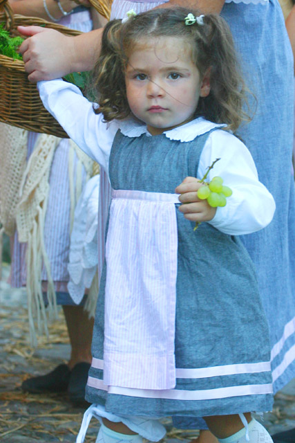 Festa dell'uva 01