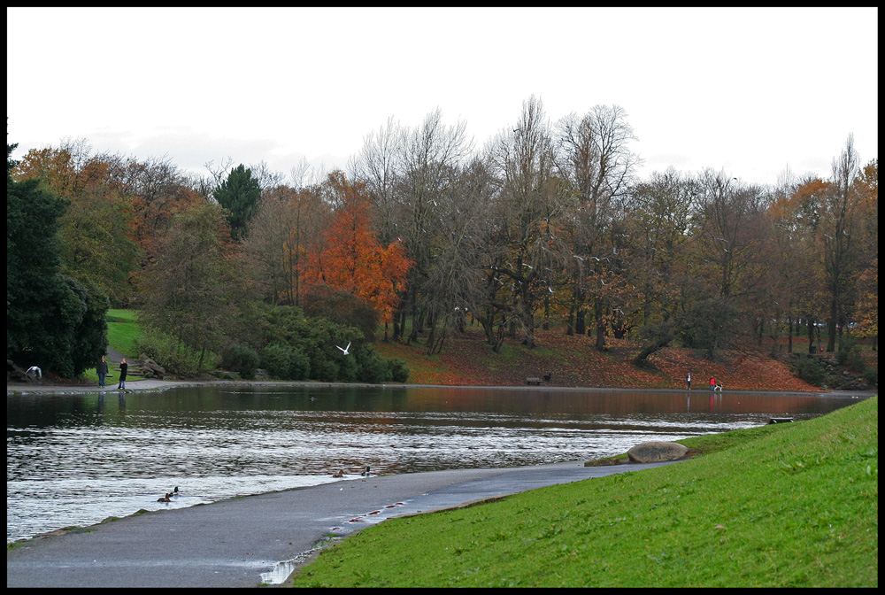 lago autunnale inglese