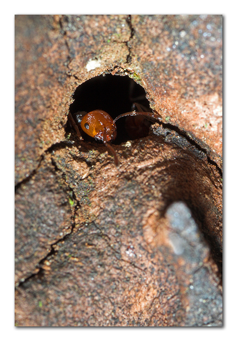 Toc! Toc! ...chi �?!?