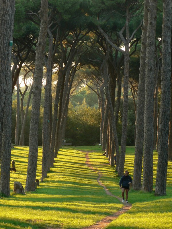 running at the sunset