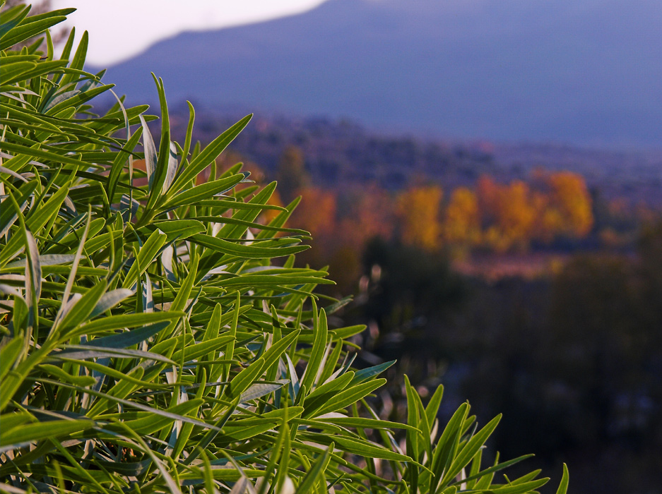 .: 02. autunno siciliano 2006 - 3a parte :.