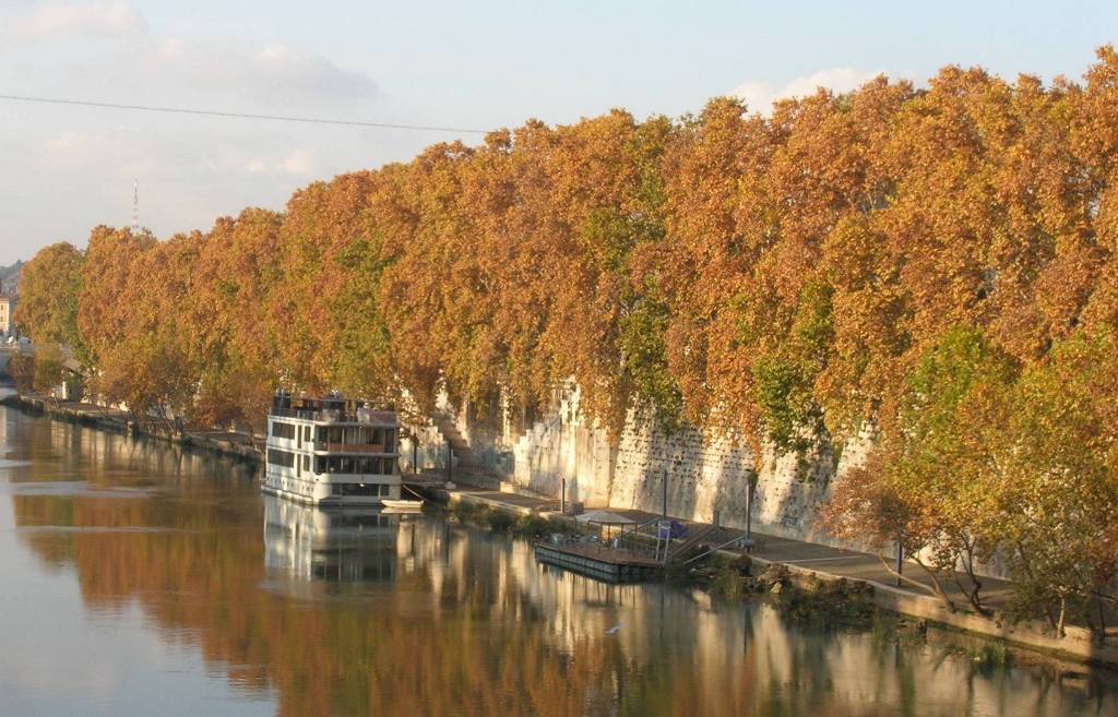 riflessi autunnali (cartolina)