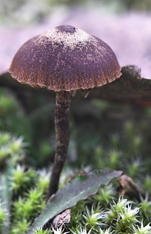 ma tu credi che Paolo prima o poi ch trova?