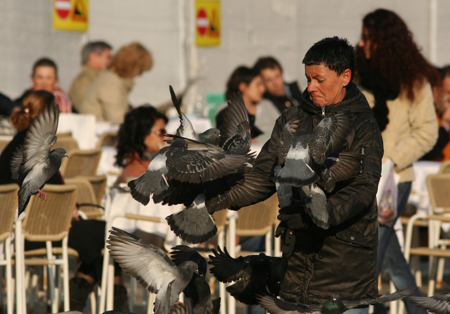 La donna dei piccioni