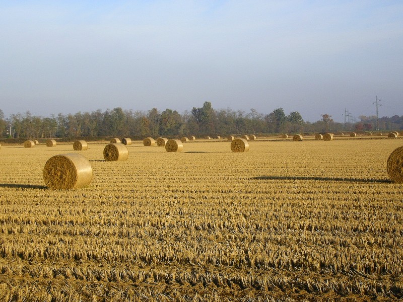 ... un ciclo che si ripete ...