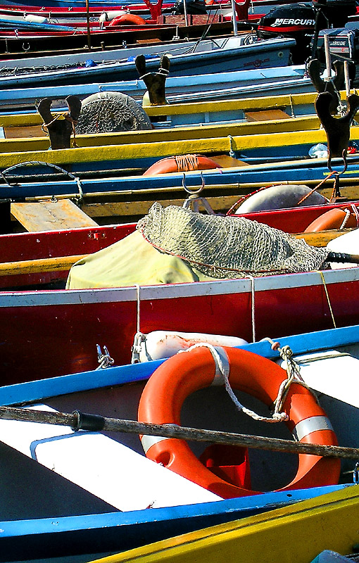 Prova Olympus C-310 #1.