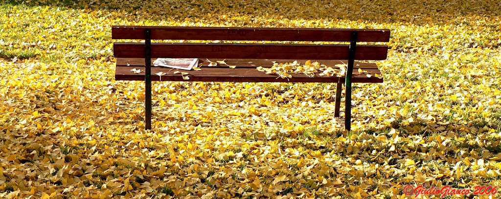 autunno 2006
