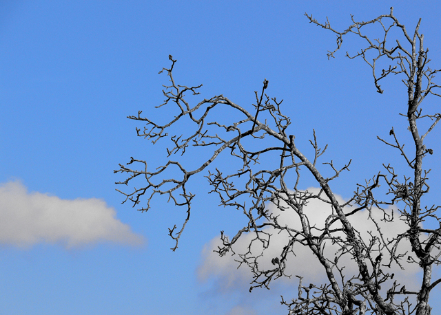 Winter day