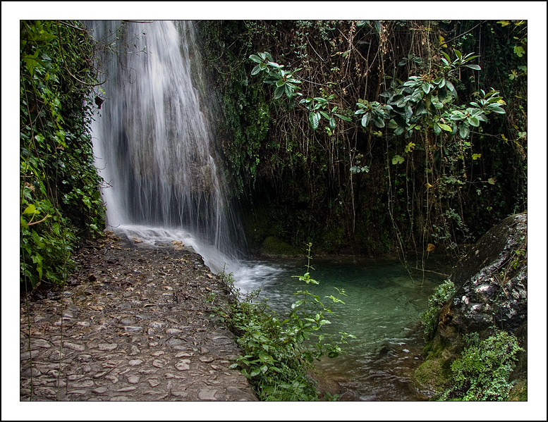 Font de l'Algar I