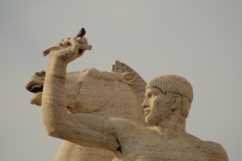 ...come pesa il piccione...