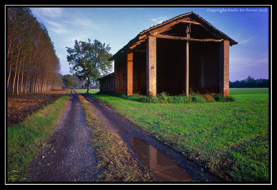 La campagna di Carignano, Torino.