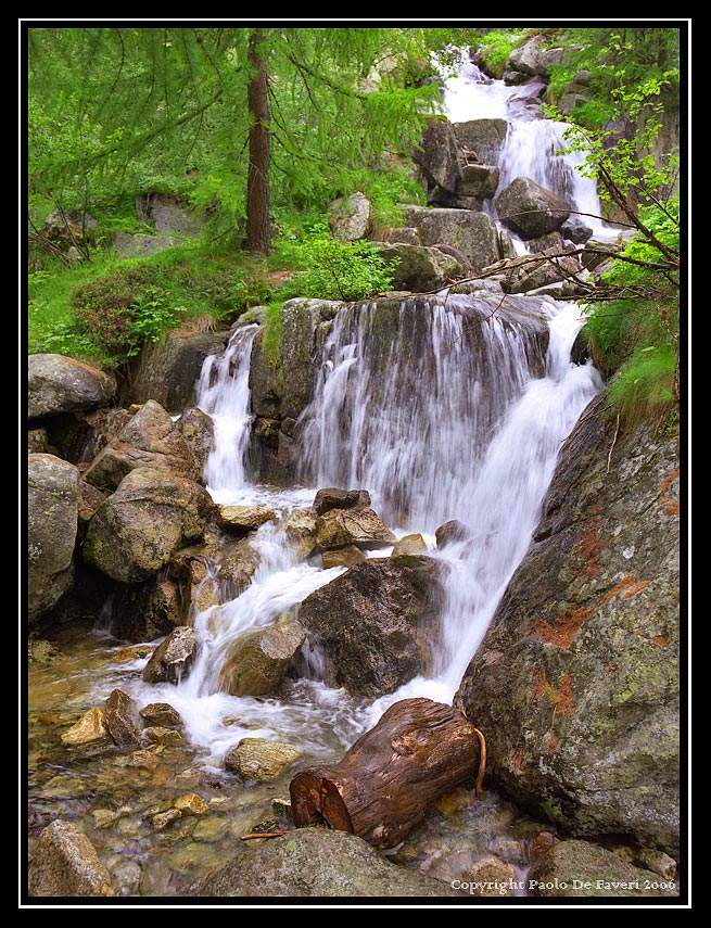 Pian del Valasco, Parco Naturale delle Alpi Marittime, Cuneo. #2