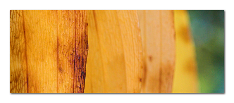 Piano piano piano... pianissimo!