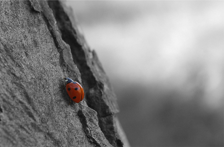 scatto di fine estate