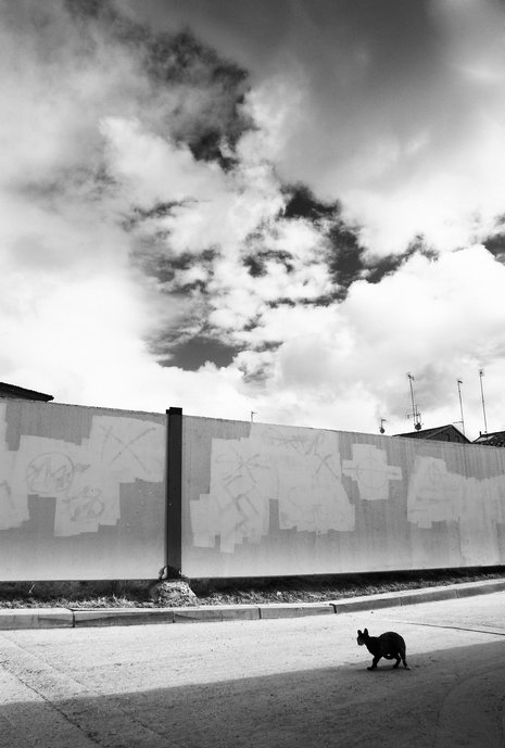 Ideologia cancellata?