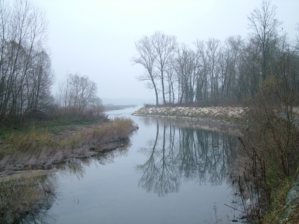 Nebbia...ovviamente!