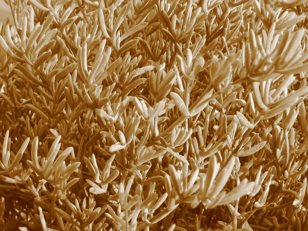 boh, ma mi � venuta bene!