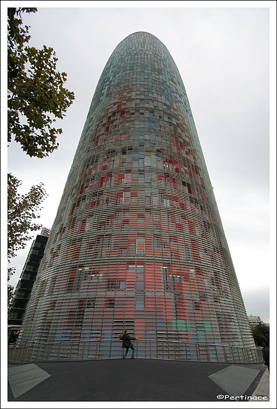 Velleit� di virilit�..