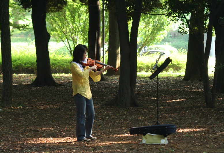 musica nel parco