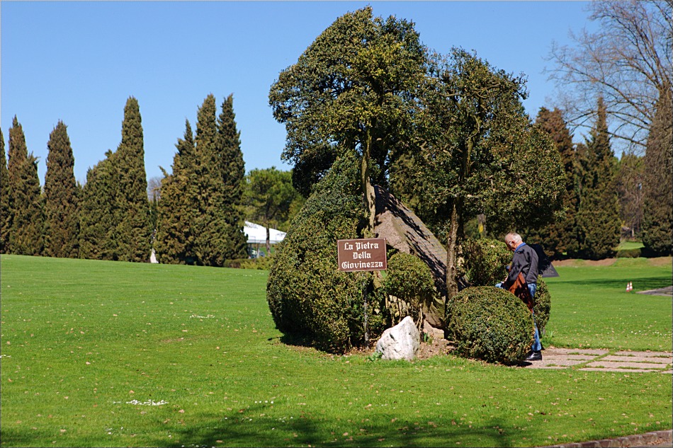 La pietra della giovinezza