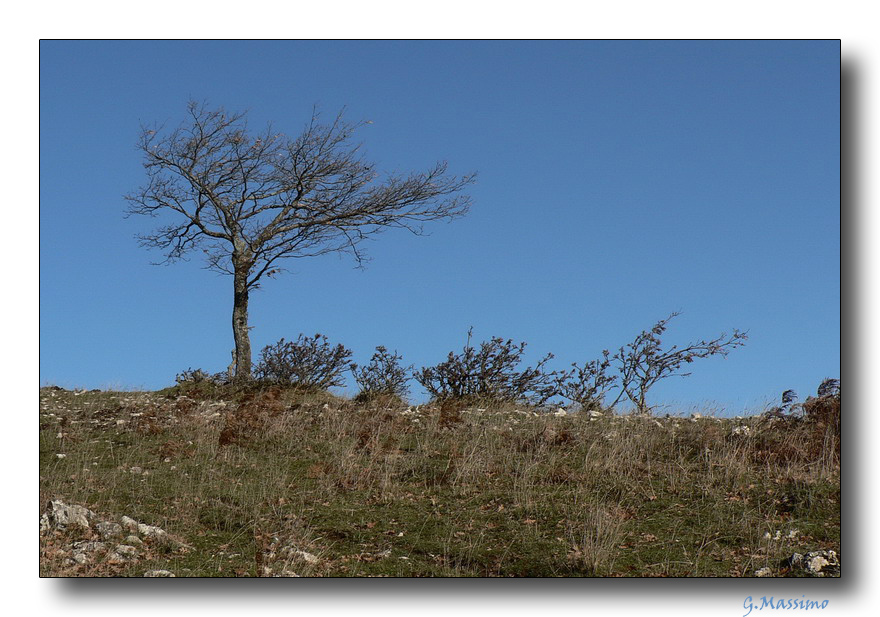 L� dove soffia il vento