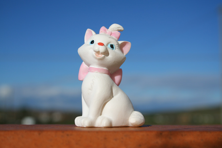 La gatta sul tetto che scotta