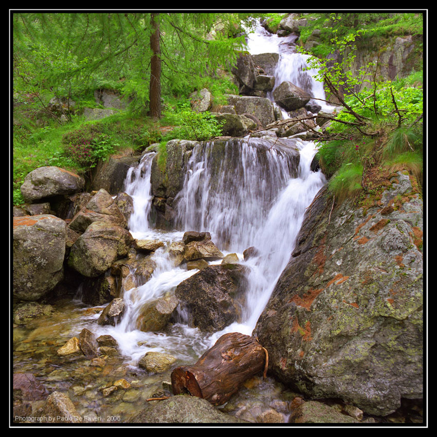 Pian del Valasco, Parco Naturale delle Alpi Marittime, Cuneo. #5