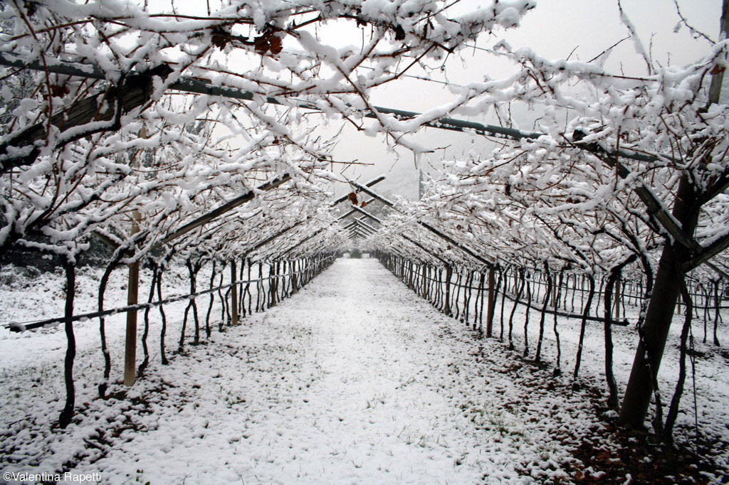 Inverno Trentino