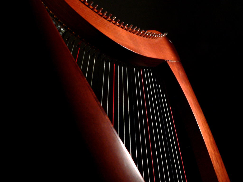 Arpa celtica particolare 3