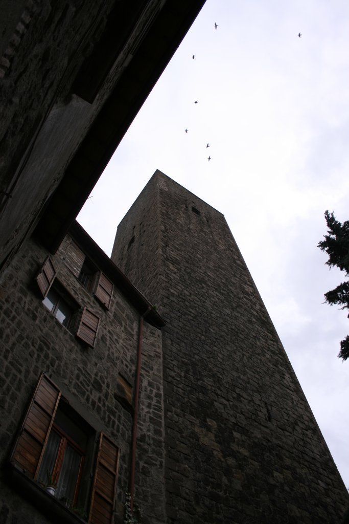 una delle torri di viterbo