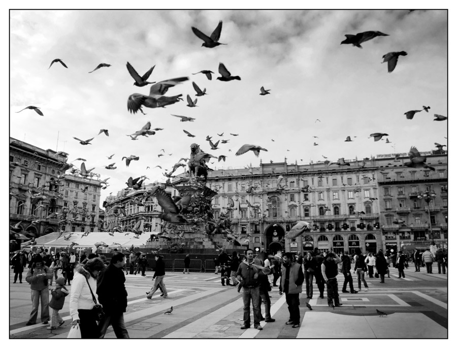 ::: IN PIAZZA DEL DUOMO :::