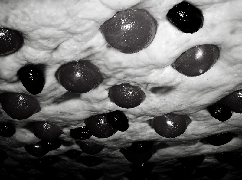 C'� vita su Marte/a