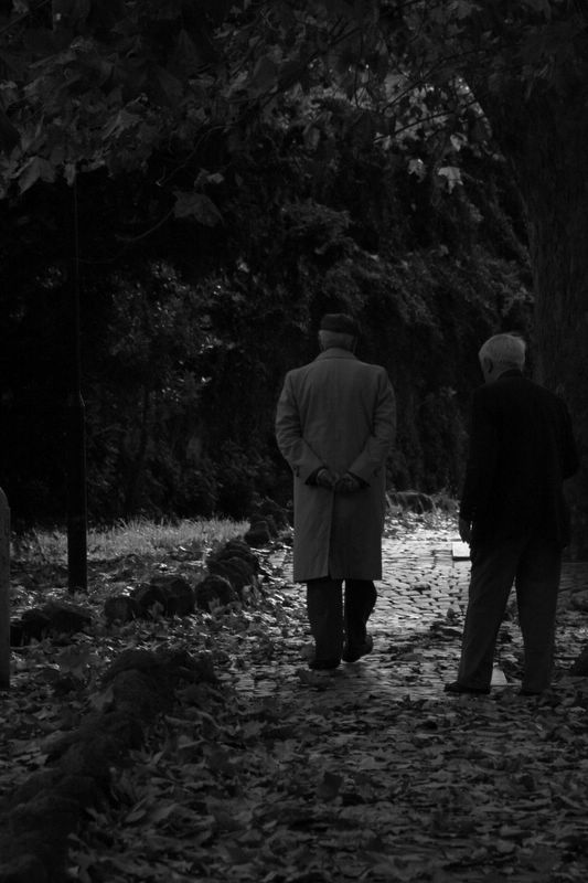 Una via oscura... strada smarrita...